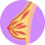 سرطان پستان دکتر مجتبی وند رجب پور